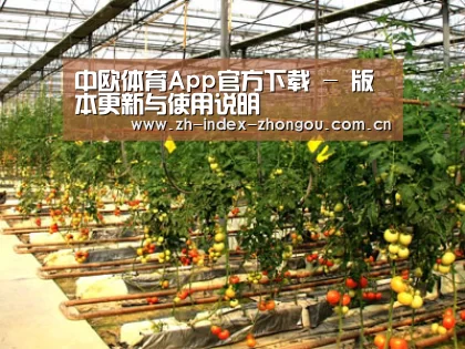 种植基地二