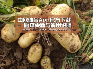 种植基地六