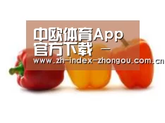 产品名称六(图1)