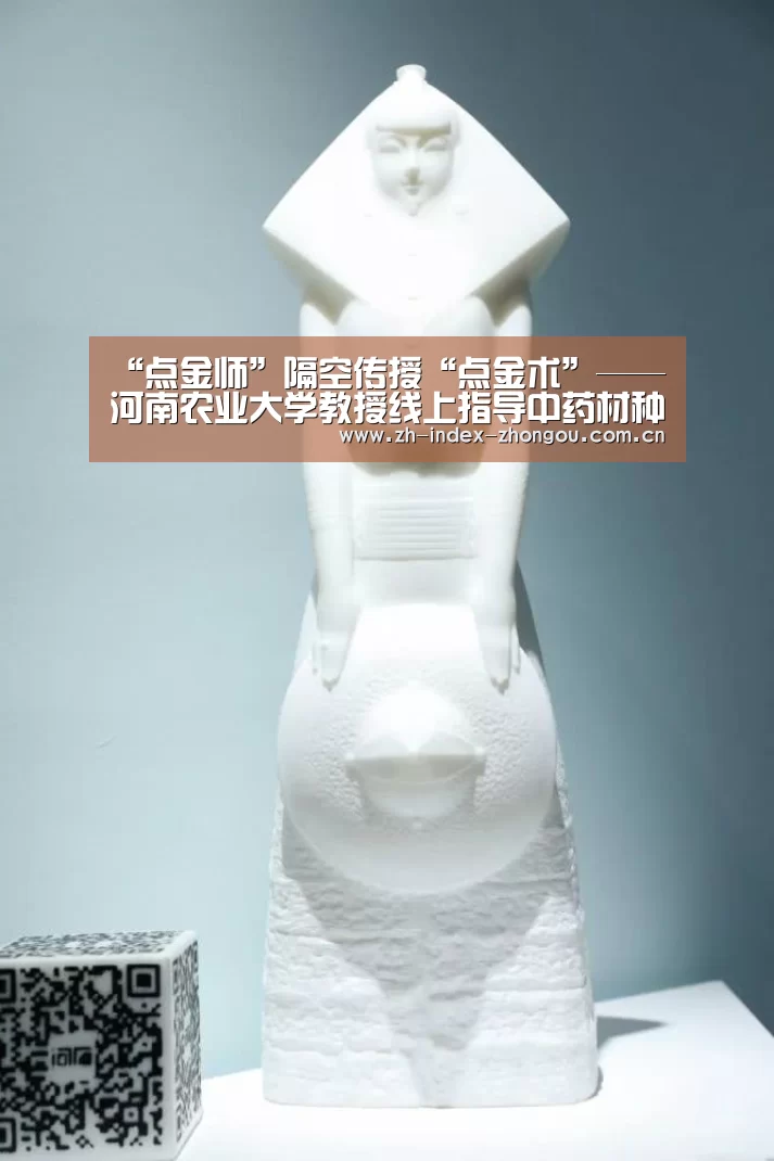 “点金师”隔空传授“点金术”——河南农业大学教授线上指导中药材种植生产‘中欧体育官方网站下载’(图2) 中欧体育官方网站最新版