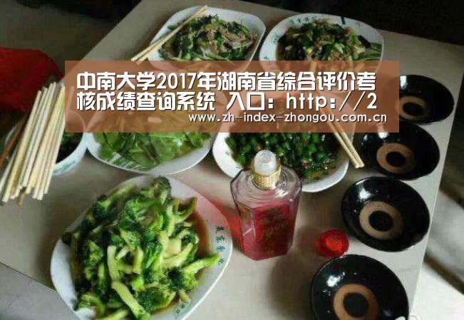 中欧体育官方网站最新版