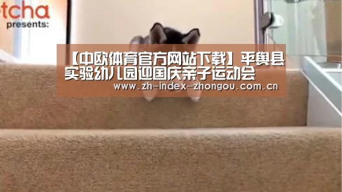 中欧体育官方网站最新版