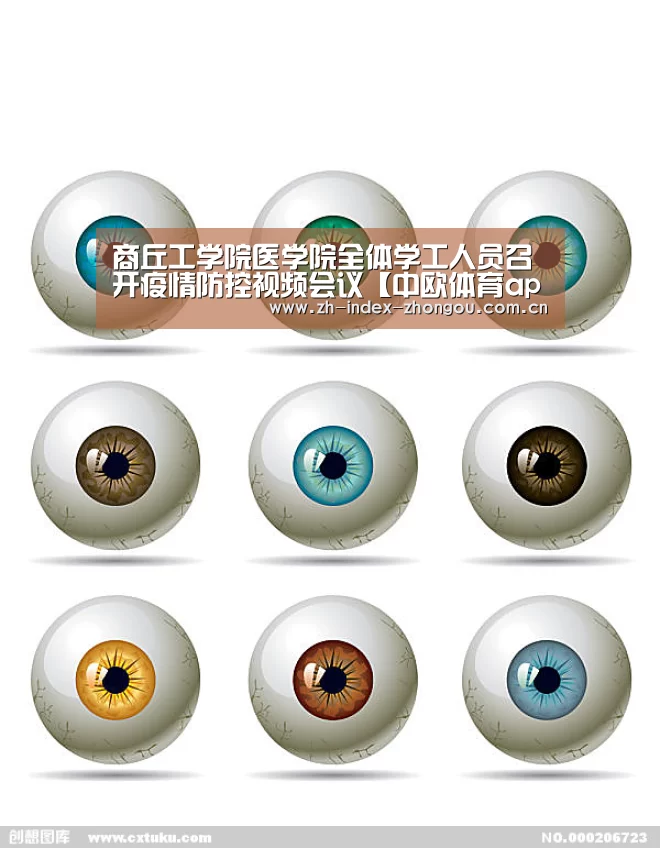 商丘工学院医学院全体学工人员召开疫情防控视频会议【中欧体育app官方下载】(图1) 中欧体育官网登录入口